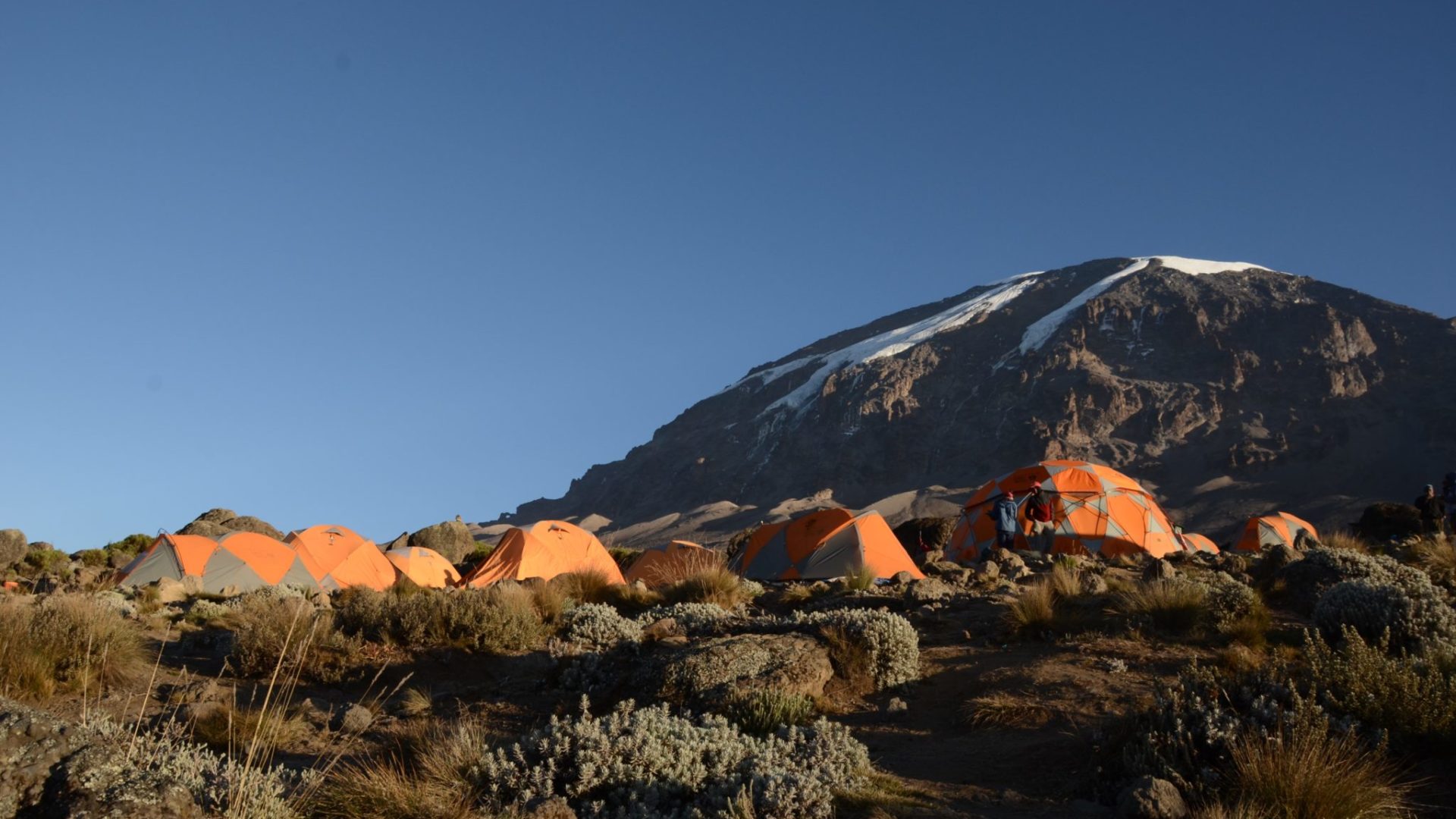 kilimanjaro climbing summit camp