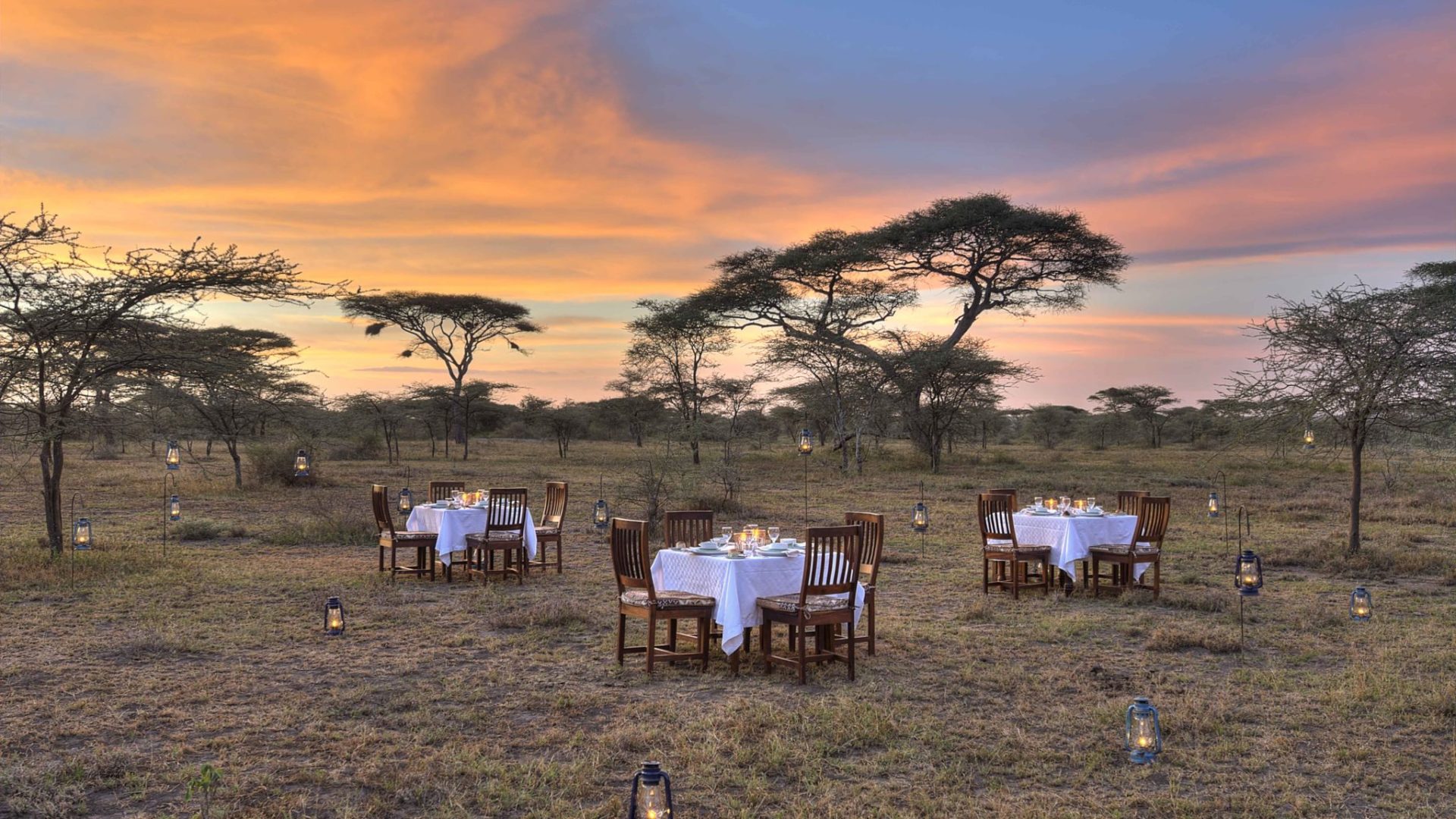 ndutu safari lodge dining