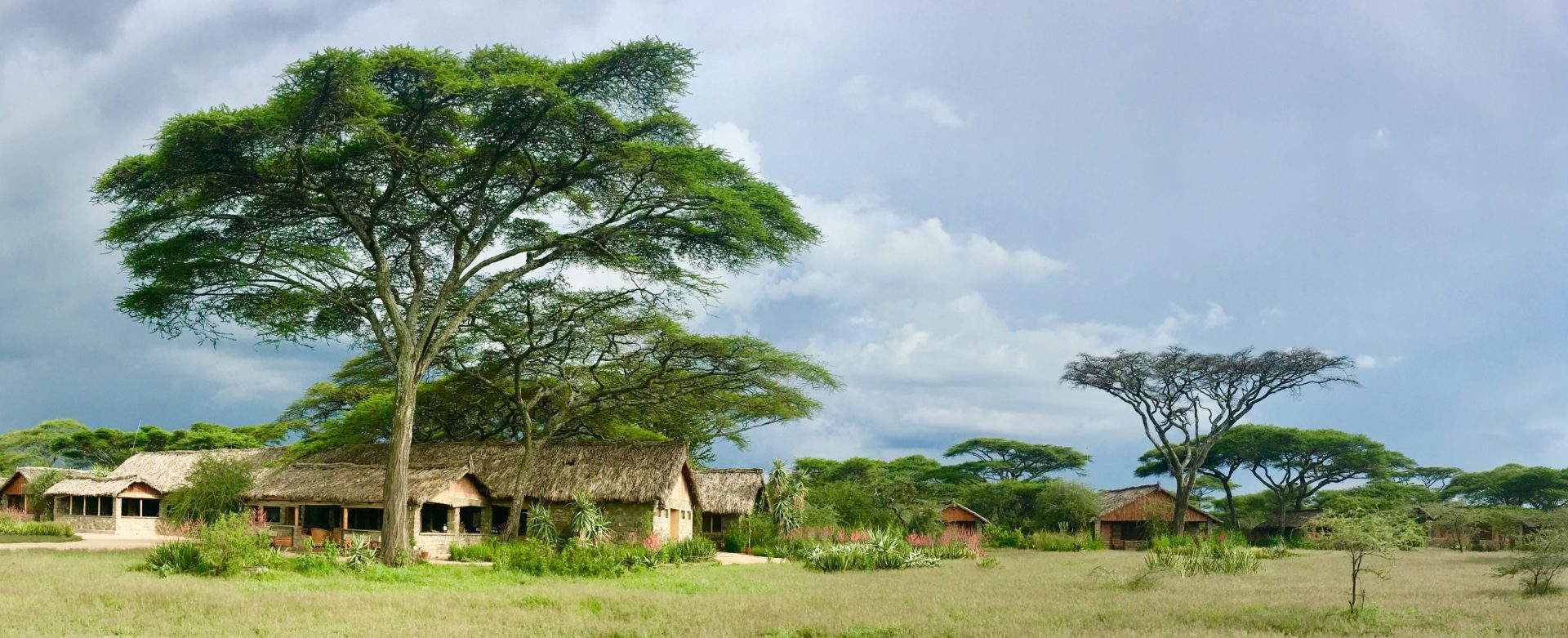 ndutu safari lodge landscape