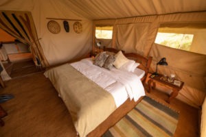 pembezoni camp serengeti room