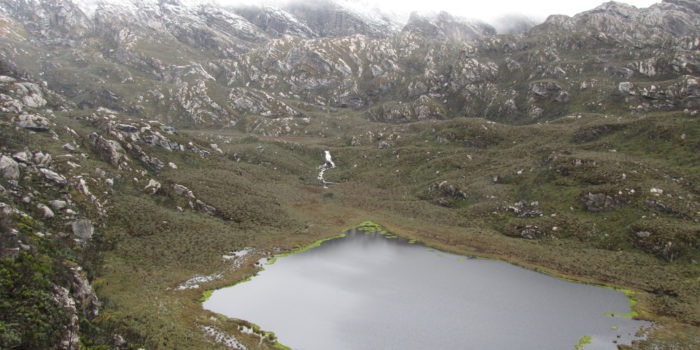 rwenzori trekking uganda bugata 1