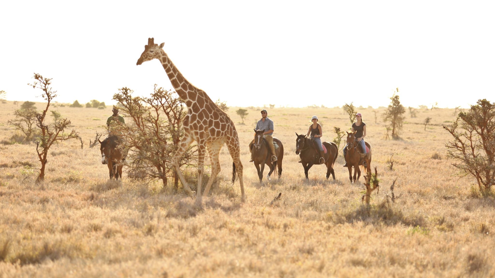 Lewa Wilderness 2017 129.1