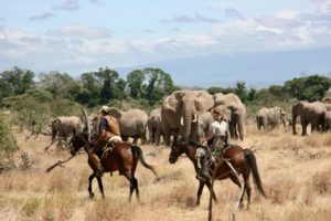 Pferdesafari Süd Amboseli 1