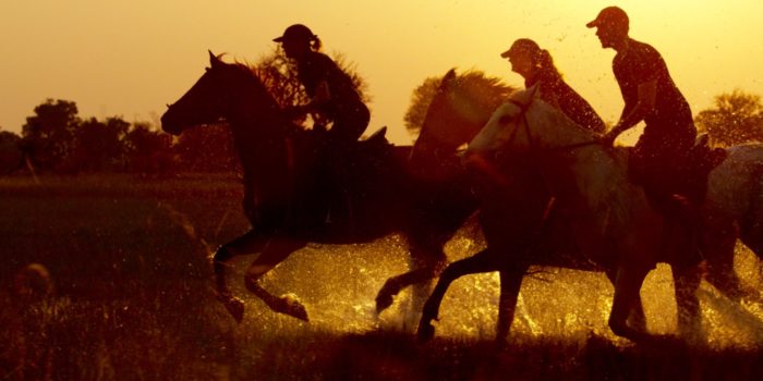 Okavango Delta Galopp