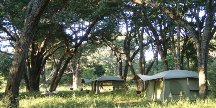 Ride Zimbabwe tents