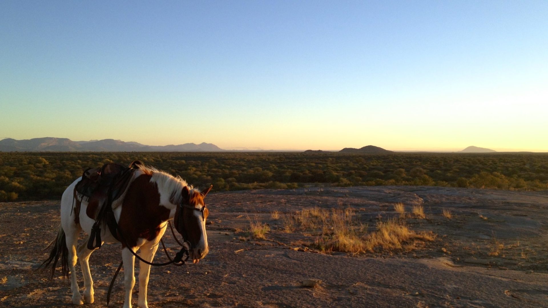 Riding Safari Namibia view 1