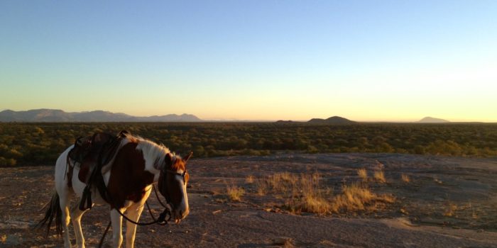 Riding Safari Namibia view 1