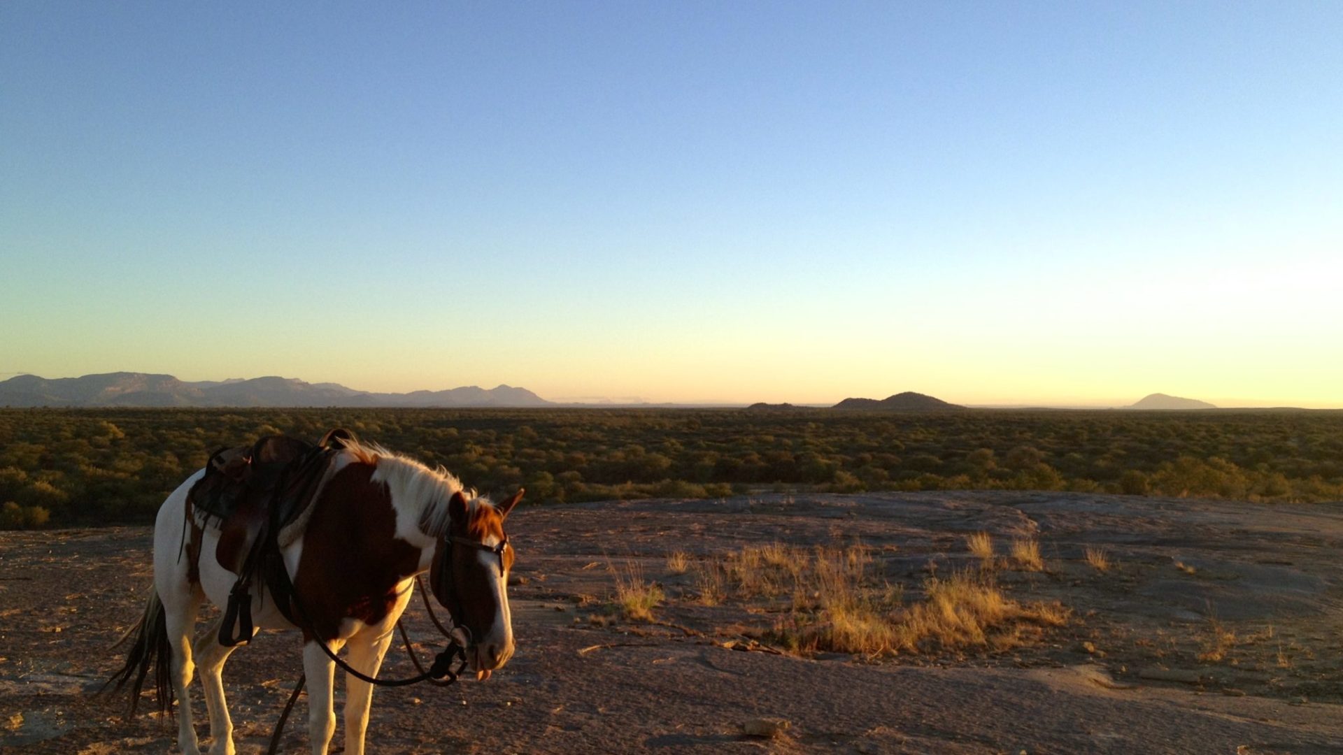 Riding Safari Namibia view