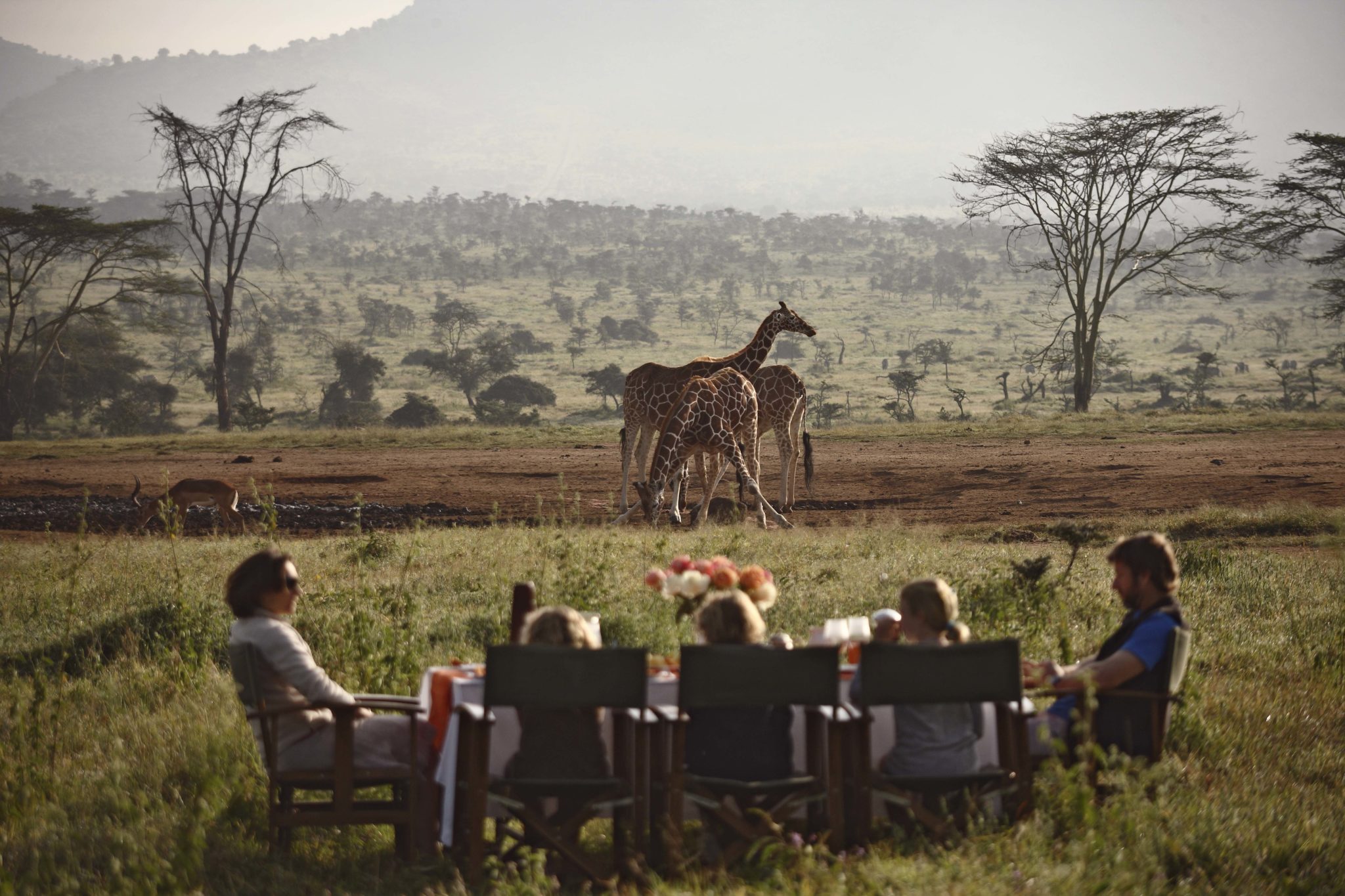 wildlife116 Enasoit Laikipia Kenya