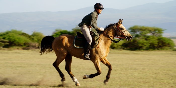 Kaskazi Horse Safari 1