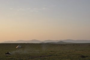 Serengeti 25