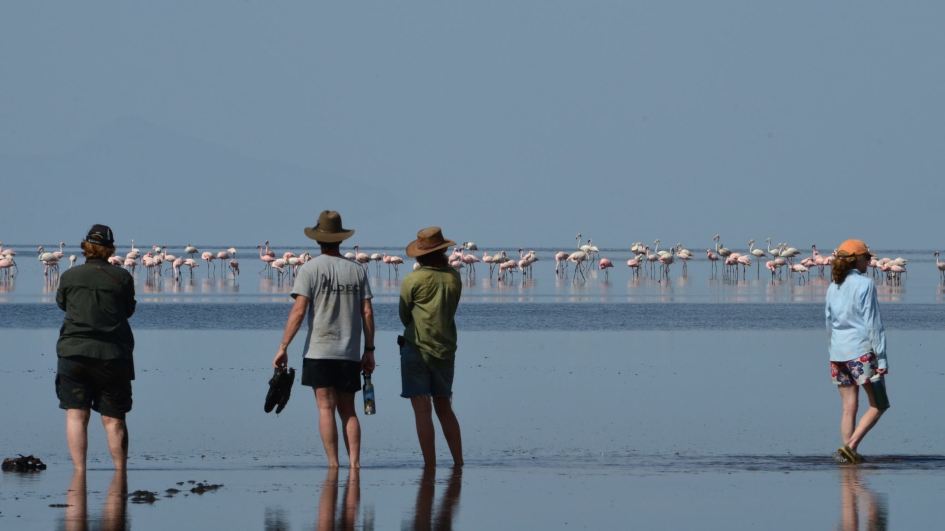 Natron Flamingo Ride 59