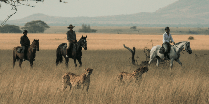 Ol Donyo Riding and Cheetah