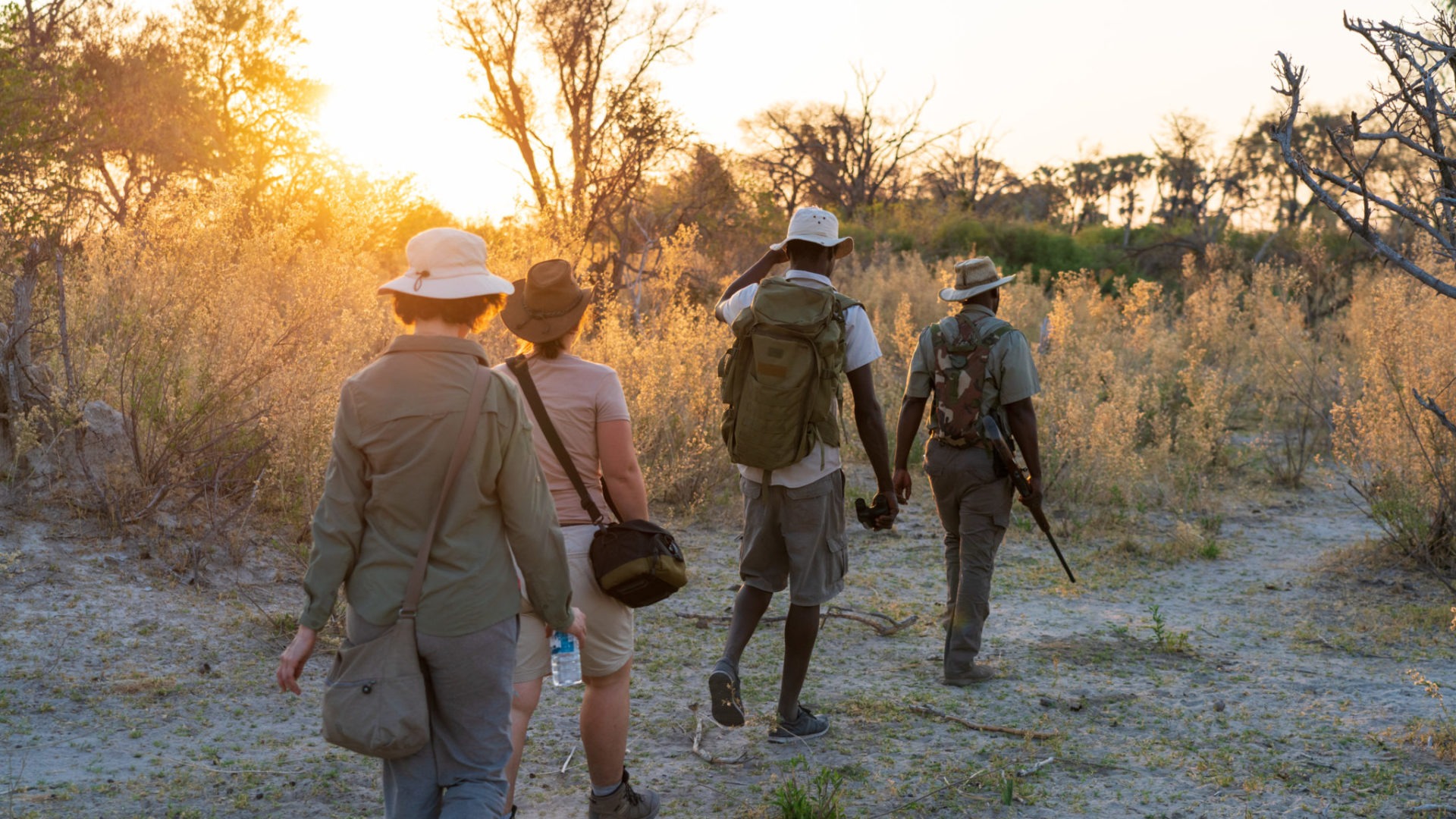 walking safari botswana wild expedition safaris