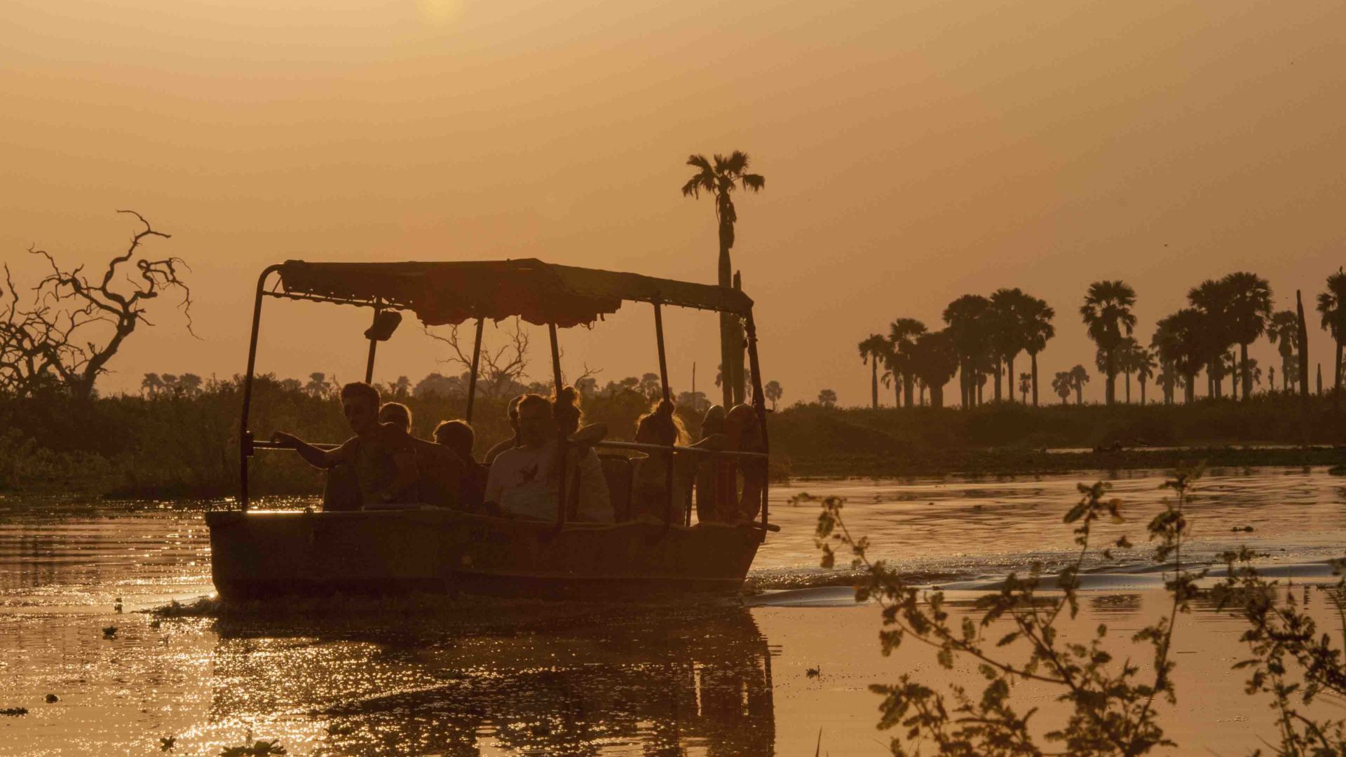 5 Boat Safari 1