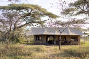 Tanzania Ndutu Wilderness Camp (11)