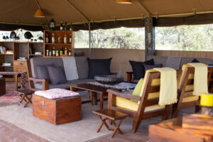 Tanzania Ndutu Wilderness Camp (13)