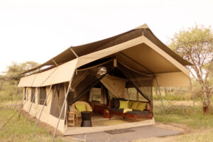 Tanzania Ndutu Wilderness Camp (14)