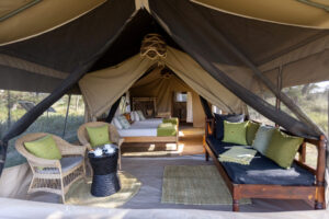 Tanzania Ndutu Wilderness Camp (15)