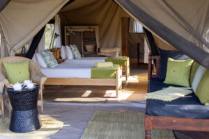 Tanzania Ndutu Wilderness Camp (16)