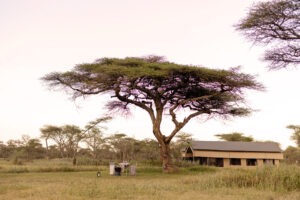 Tanzania Ndutu Wilderness Camp (20)