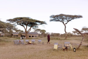 Tanzania Ndutu Wilderness Camp (3)