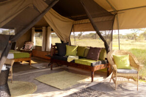 Tanzania Ndutu Wilderness Camp (5)