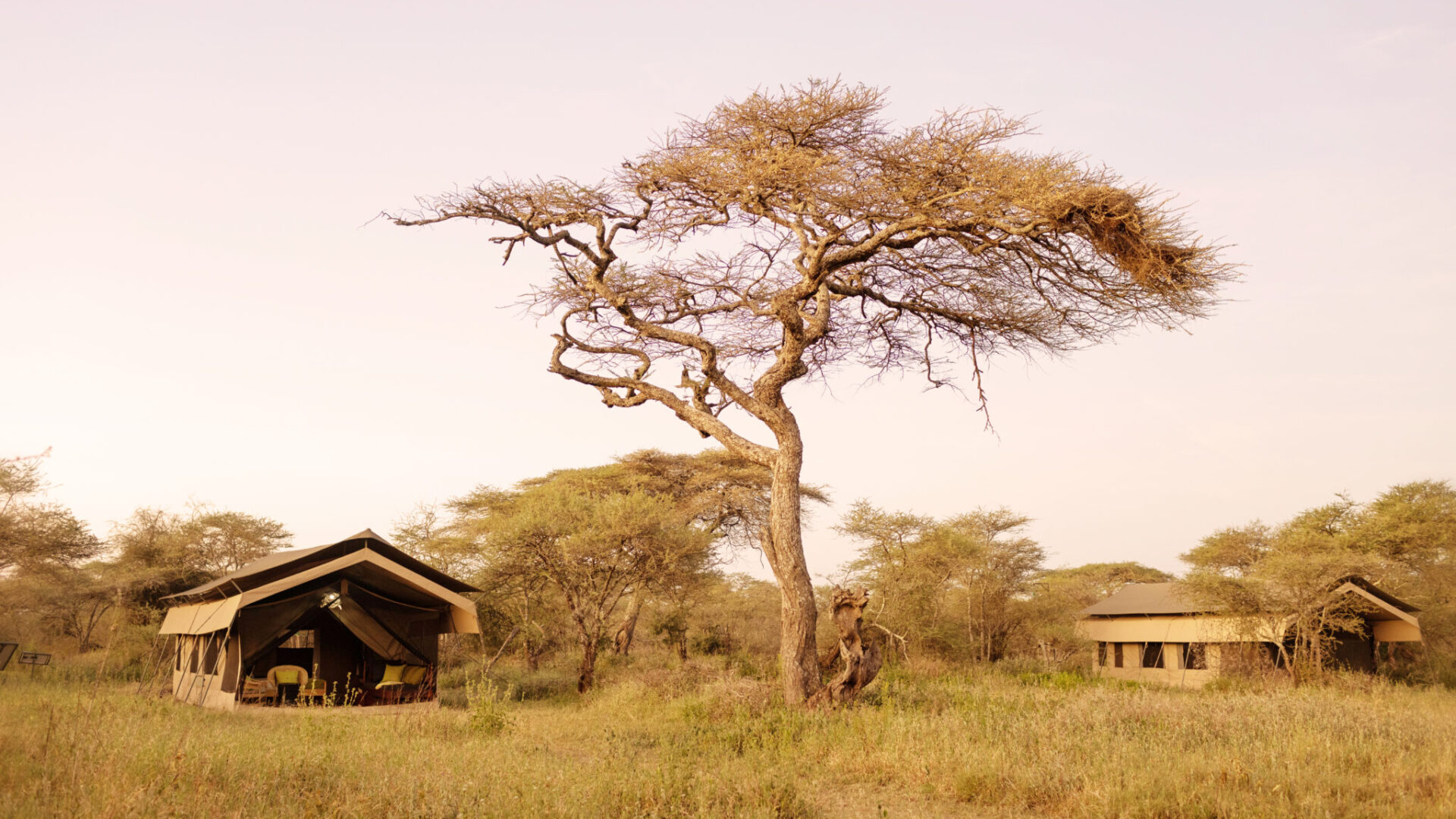 Tanzania Ndutu Wilderness Camp (7)