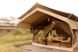 Tanzania Ndutu Wilderness Camp (8)