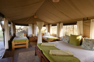 Tanzania Ndutu Wilderness Camp (9)