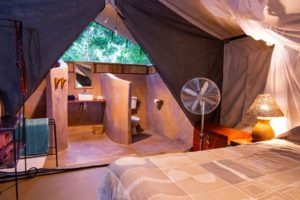 flatdogs camp south luangwa zambia standard tent interior