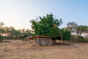 tusk and mane lower zambezi tent outside