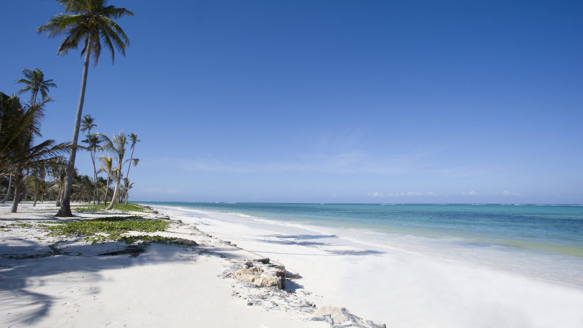 baraza resort and spa zanzibar bwejuu beach