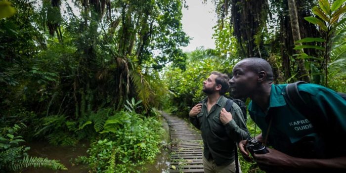 crater safari lodge uganda swamp