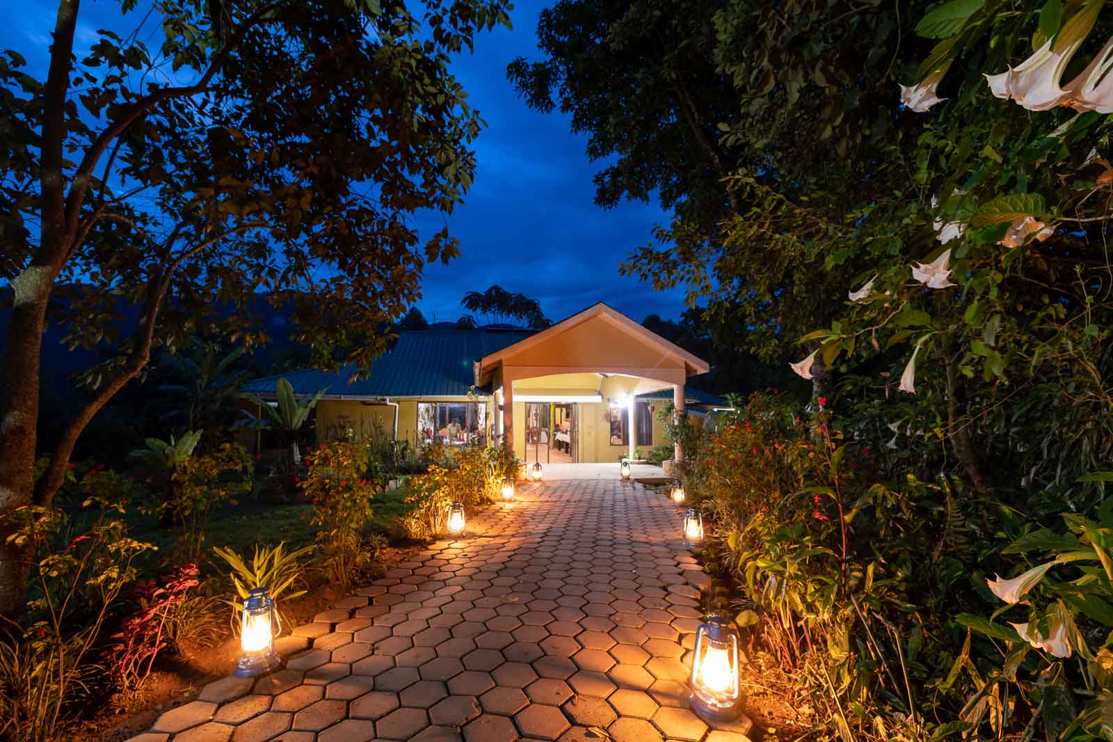 gorilla safari lodge uganda pathway