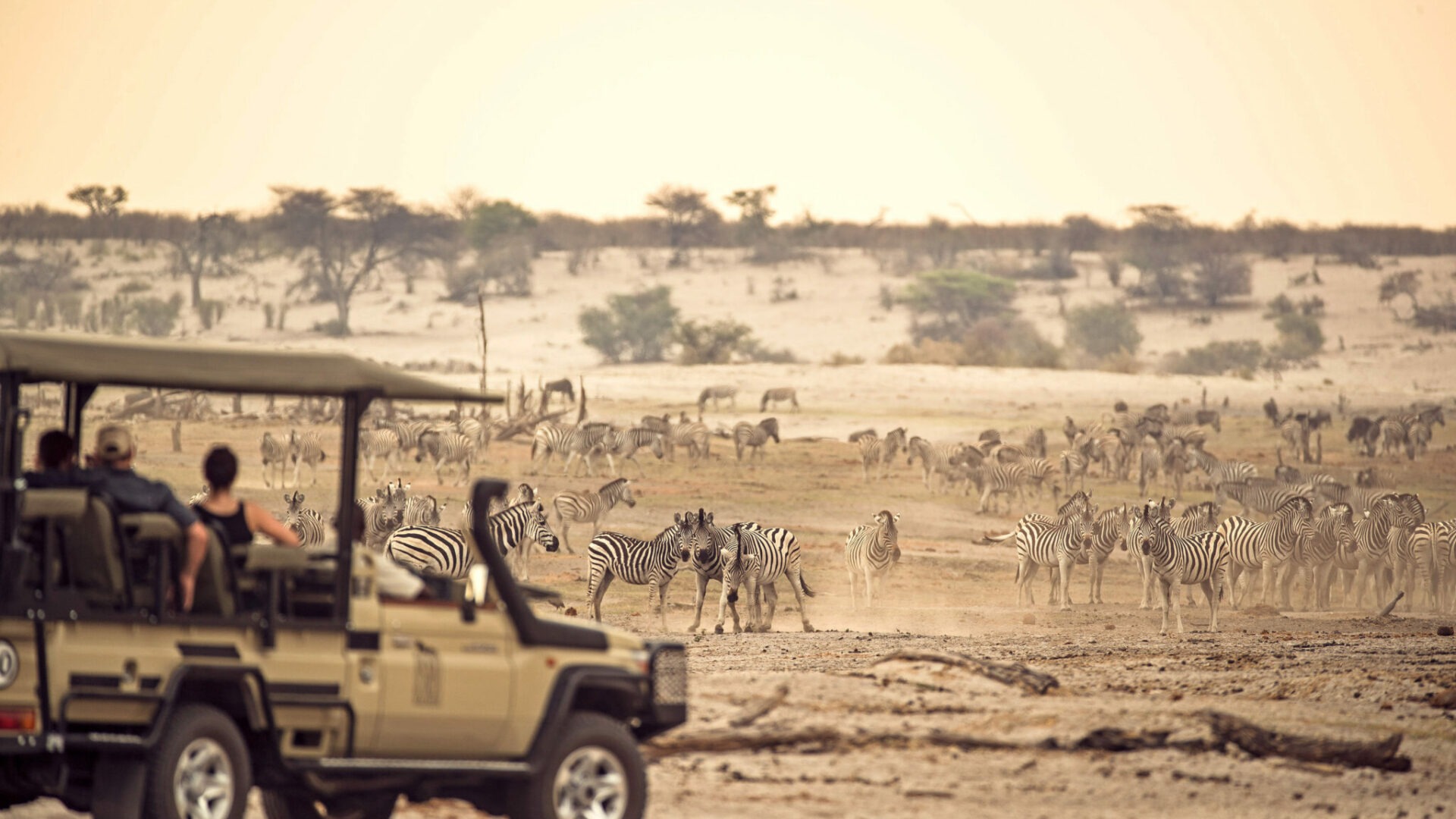 botswana makgadikgadi pans leroo le tau zebra