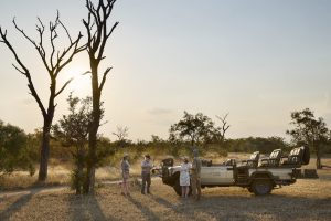 Arathusa Safari Lodge (1)