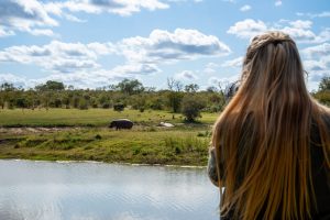 Arathusa Safari Lodge (17)