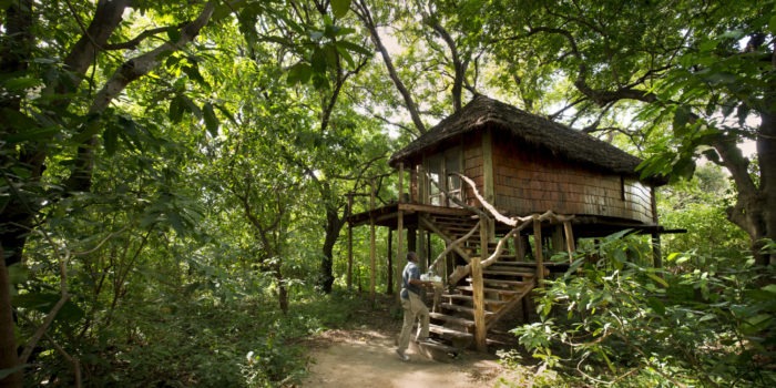 Treehouse suite exterior andBeyond Lake Manyara Tree Lodge