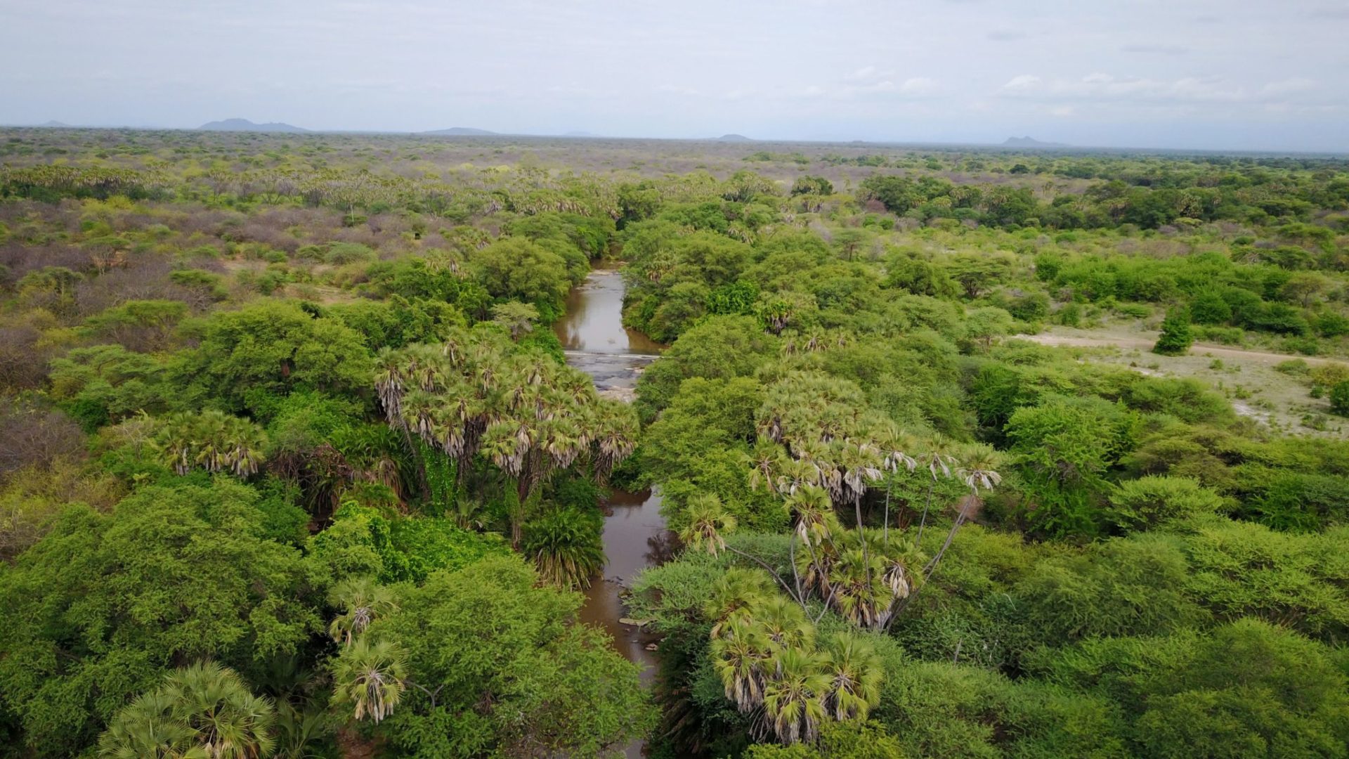 yFDv53WQ Meru Wilderness Kenya