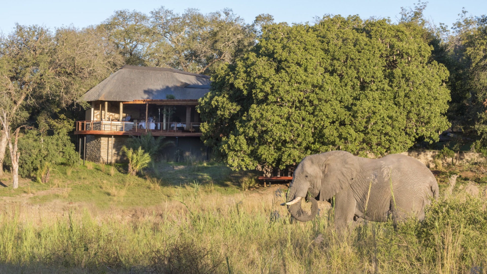 south africa sabi sands dulini river lodge1