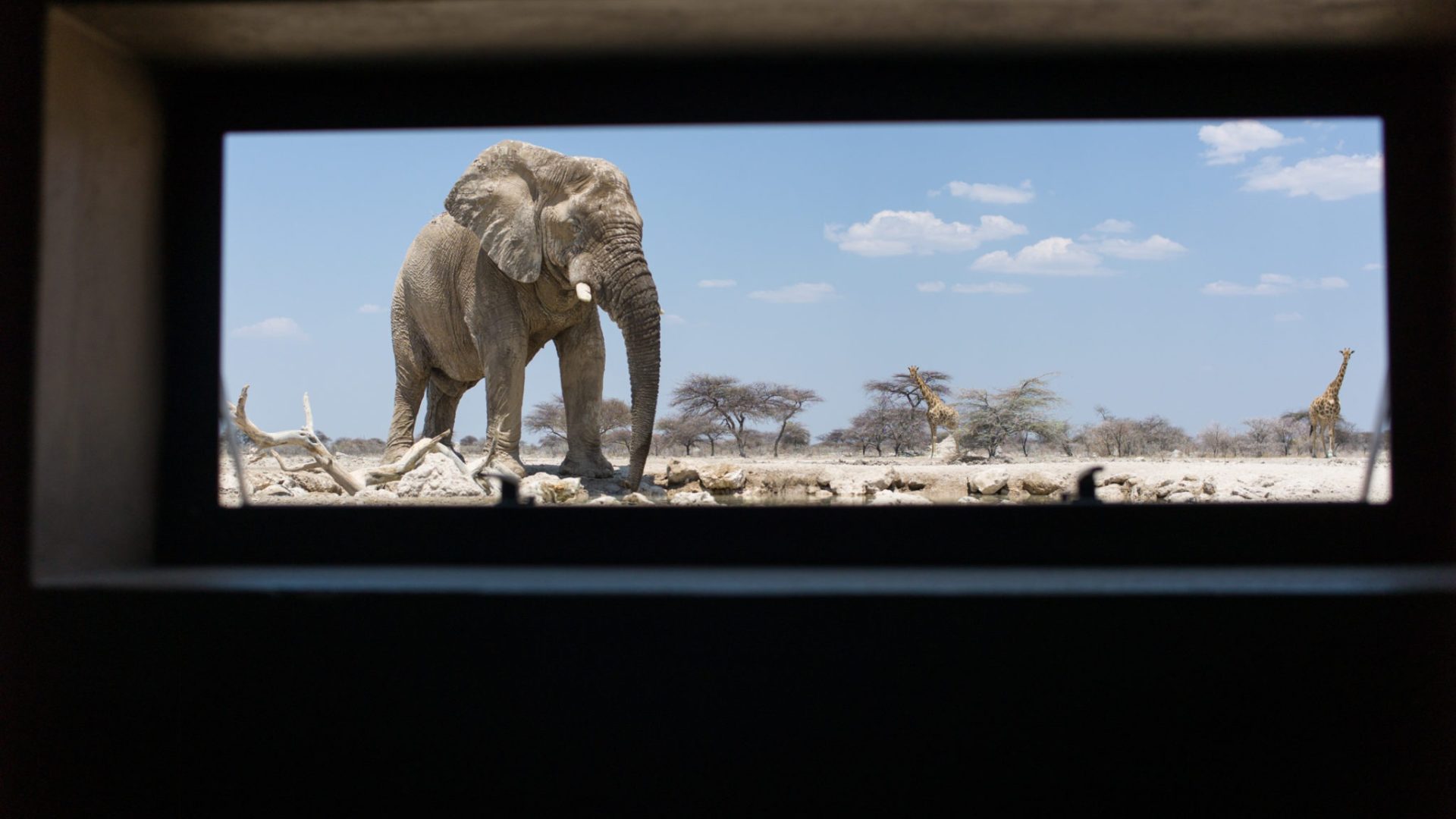 Namibia northern etosha onguma the fort75