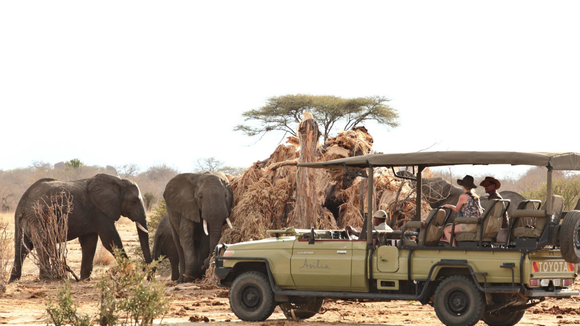 tanzania ruaha national park jabali private house 12