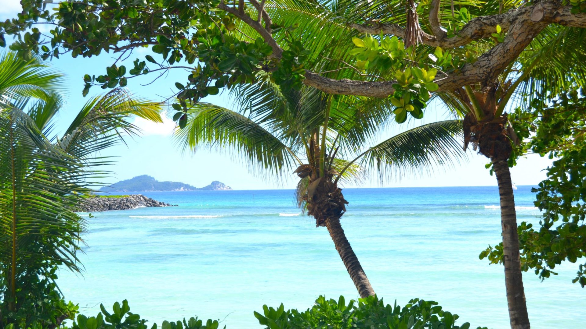 Seychelles inner islands silhoette la belle tortue8