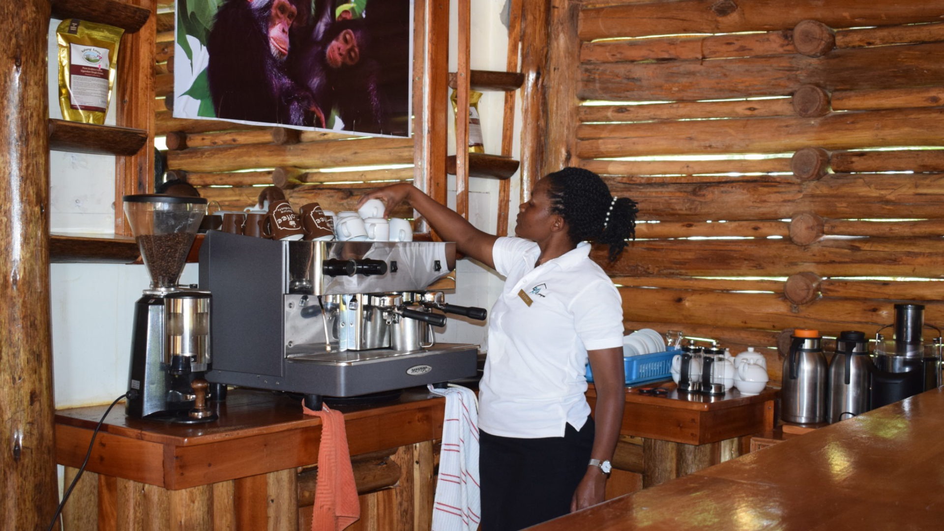 uganda kibale national park guest cottages affordable lodge 3