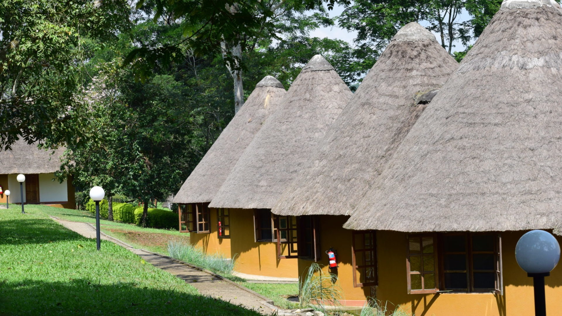 uganda kibale national park guest cottages affordable lodge 5