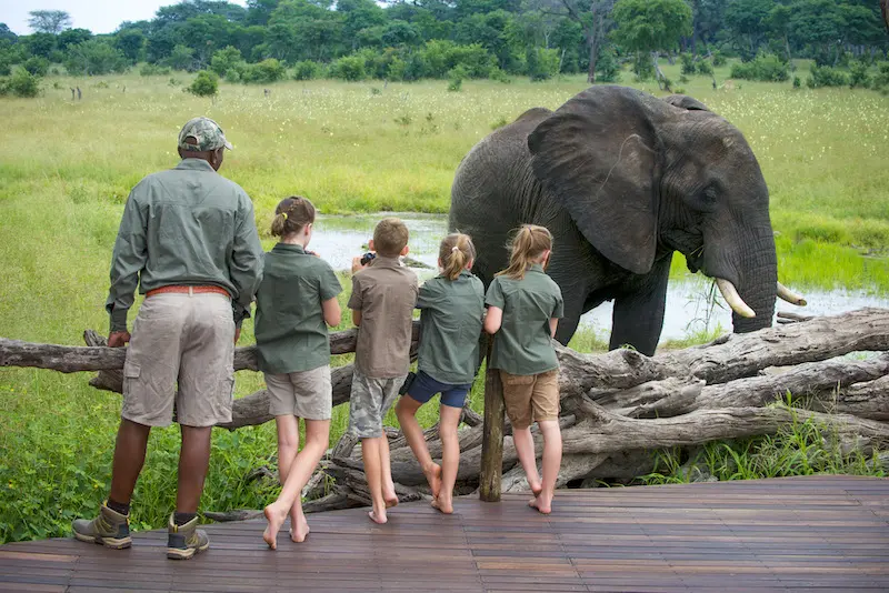 Familien-safaris