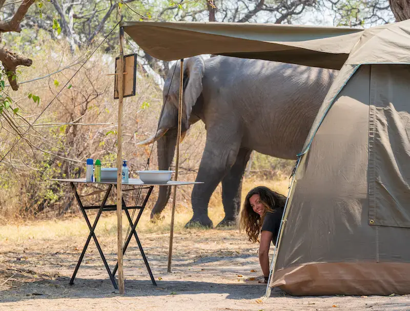 Mobile Zeltsafaris