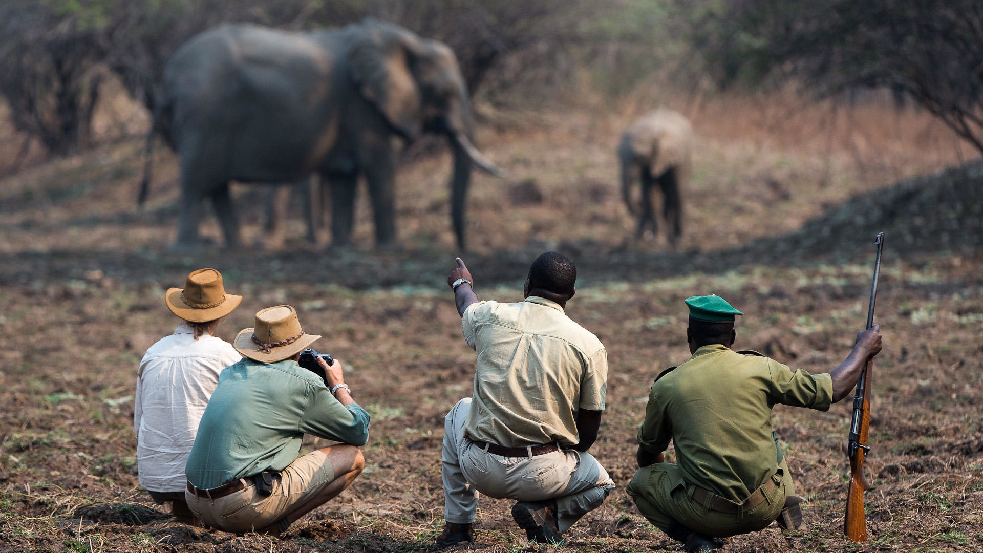 zambia south luangwa national park nkwali camp 17