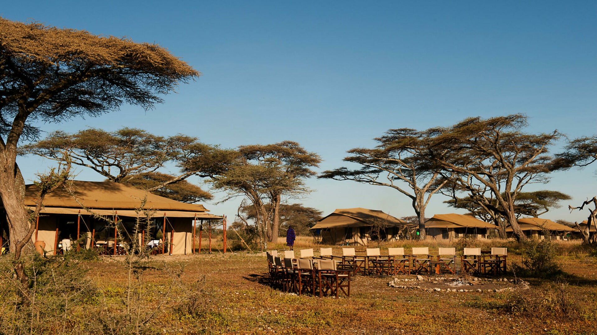 tanzania serengeti mara under canvas tented camp 12